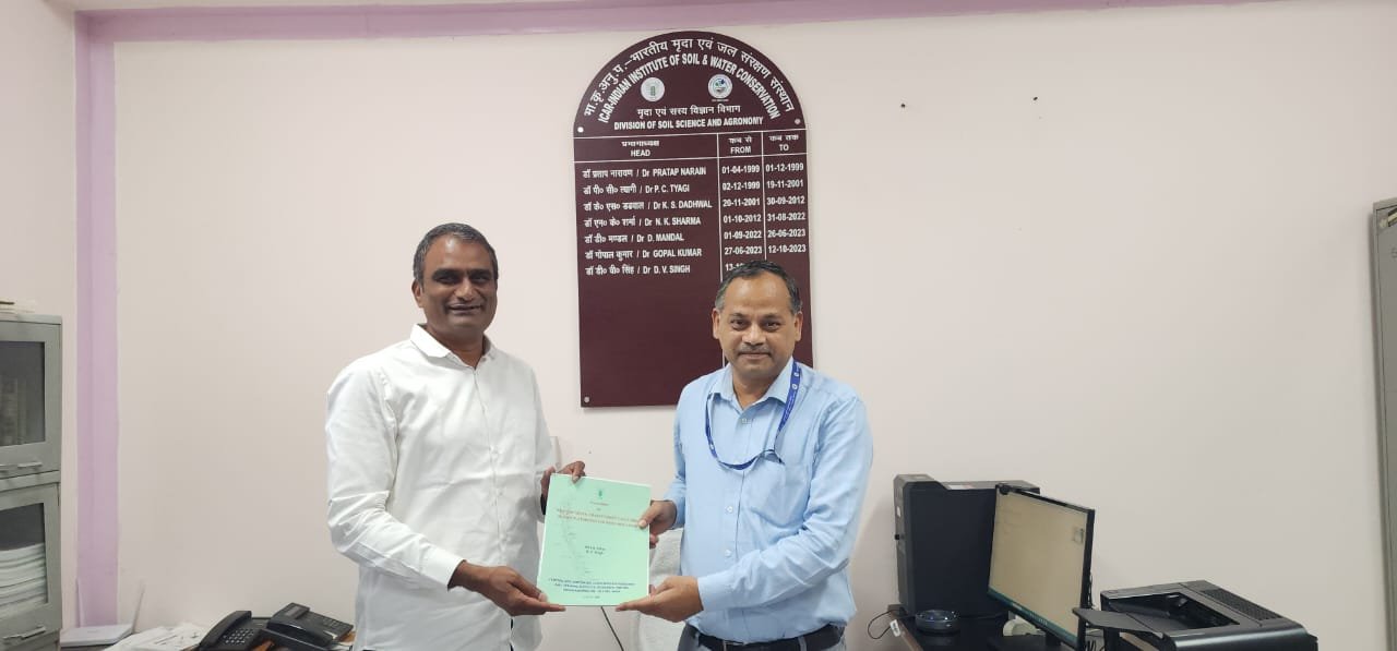 Urban Real Estate ROI